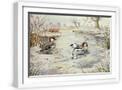 White Frame