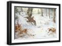 Black Frame