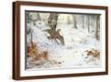 Brown Frame