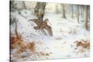 Stretched Canvas