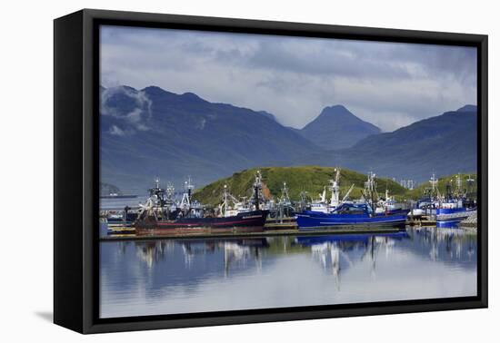 Carl E. Moses Boat Harbor, Dutch Harbor, Amaknak Island, Aleutian Islands, Alaska, USA-Richard Cummins-Framed Stretched Canvas