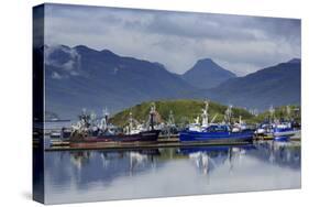 Carl E. Moses Boat Harbor, Dutch Harbor, Amaknak Island, Aleutian Islands, Alaska, USA-Richard Cummins-Stretched Canvas