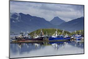 Carl E. Moses Boat Harbor, Dutch Harbor, Amaknak Island, Aleutian Islands, Alaska, USA-Richard Cummins-Mounted Photographic Print