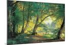 Wood Mount