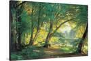 Stretched Canvas