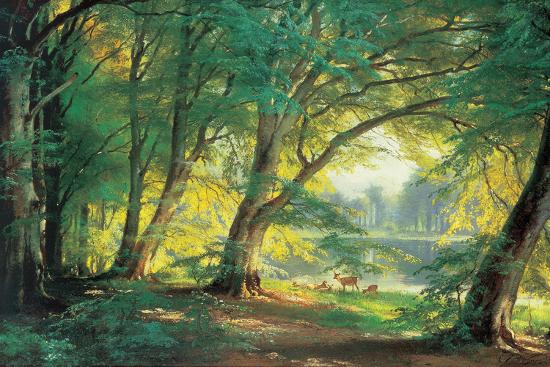 Art Print, , large