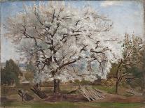 Fruit Tree in Blossom, Bois-Le-Roi-Carl Fredrik Hill-Stretched Canvas