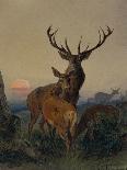 A Stag with a Deer in a Wooded Landscape at Sunset, 1865 watercolor-Carl Friedrich Deiker-Framed Giclee Print