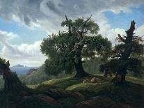 Memory of a Wooded Island in the Baltic Sea (Oak Trees by the Se), 1835-Carl Gustav Carus-Giclee Print