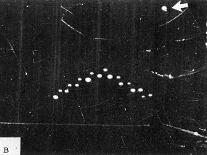 Lubbuck Lights UFOs-Carl Hart Jnr.-Photographic Print