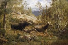 A Family of Moose-Carl Henrik Bogh-Stretched Canvas