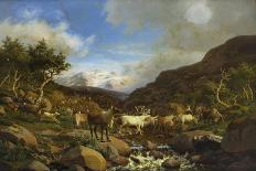 A Herd of Reindeer Fording a Stream in a Mountainous Landscape-Carl-henrik Bogh-Laminated Giclee Print