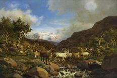 Family of Moose-Carl-henrik Bogh-Framed Stretched Canvas