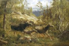 A Herd of Reindeer Fording a Stream in a Mountainous Landscape-Carl-henrik Bogh-Stretched Canvas