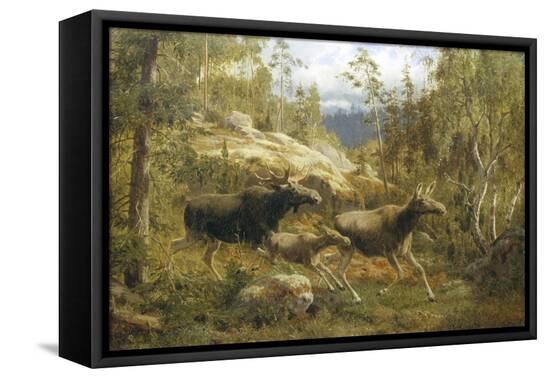 Stretched Canvas Print, , large