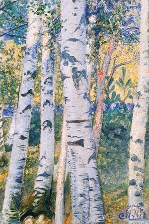Birch Trees, 1910