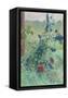 Canvas Black