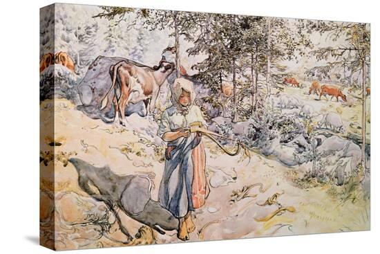 Stretched Canvas Print, , large