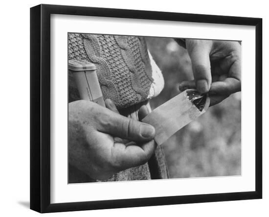 Premium Photographic Print, , large