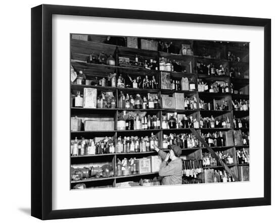 Premium Photographic Print, , large