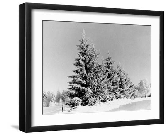 Photographic Print, , large