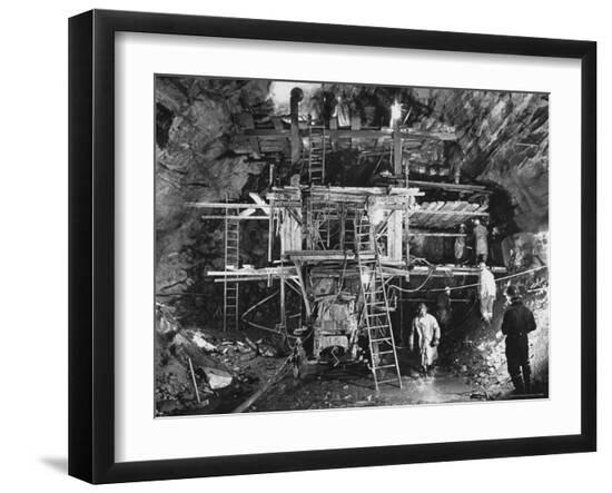 Premium Photographic Print, , large