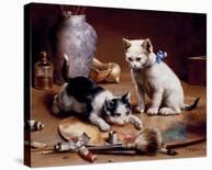 Playful Kittens-Carl Reichert-Giclee Print