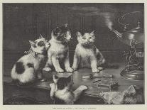 A Scientific Investigation-Carl Reichert-Giclee Print