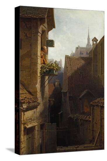 Stretched Canvas Print, , large