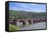Carl Theodor Bridge, Heidelberg Castle, Baden-Wurttemberg, Germany-Jim Engelbrecht-Framed Stretched Canvas