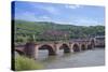 Carl Theodor Bridge, Heidelberg Castle, Baden-Wurttemberg, Germany-Jim Engelbrecht-Stretched Canvas