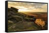 Carl Wark Hill Fort and Hathersage Moor from Higger Tor, sunrise in autumn, Peak District National -Eleanor Scriven-Framed Stretched Canvas
