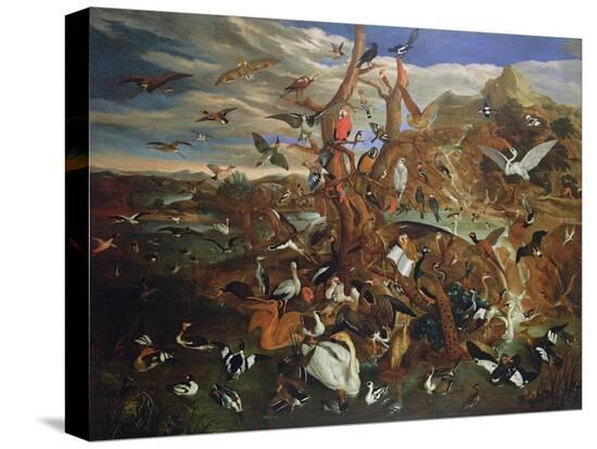 Stretched Canvas Print, , large