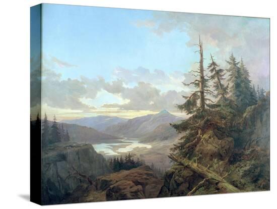 Stretched Canvas Print, , large