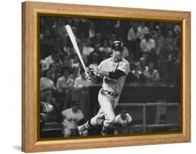 Carl Yastrzemski-Art Rickerby-Framed Stretched Canvas