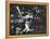 Carl Yastrzemski-Art Rickerby-Framed Stretched Canvas