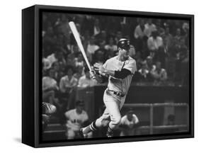 Carl Yastrzemski-Art Rickerby-Framed Stretched Canvas