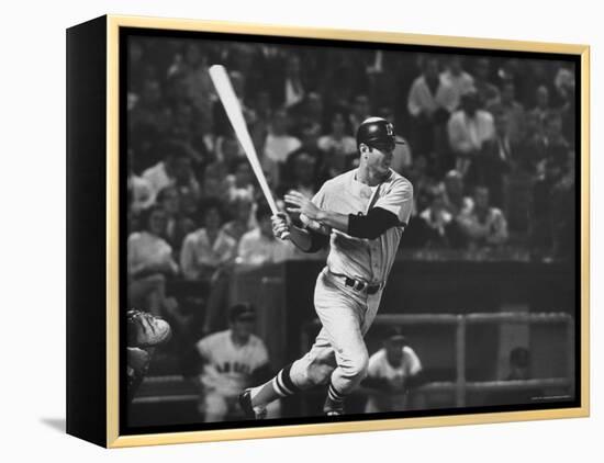 Carl Yastrzemski-Art Rickerby-Framed Stretched Canvas