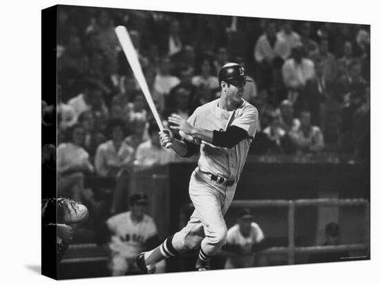 Carl Yastrzemski-Art Rickerby-Stretched Canvas