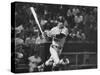 Carl Yastrzemski-Art Rickerby-Stretched Canvas