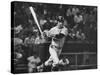 Carl Yastrzemski-Art Rickerby-Stretched Canvas