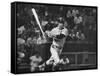 Carl Yastrzemski-Art Rickerby-Framed Stretched Canvas