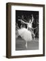Carla Fracci in Excelsior-null-Framed Photographic Print