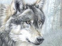 Wolf in Aspens-Carla Kurt-Laminated Giclee Print