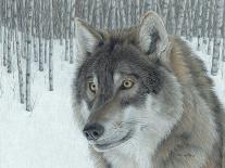 Wolf in Aspens-Carla Kurt-Framed Giclee Print