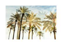 Palm 3-Carla West-Giclee Print