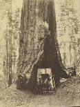 Taysayac, Half Dome, 4967 Ft, Yosemite, 1861 (Mammoth Plate Albumen Print)-Carleton Emmons Watkins-Giclee Print