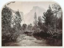 Route creusée dans le tronc d'un séquoia géant,forêt de Mariposa,Californie (Wawona,28 feet-Carleton Emmons Watkins-Giclee Print