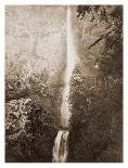 Mirror View, El Capitan, Yosemite Park, California, 1866-Carleton Watkins-Giclee Print