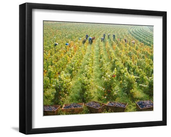 Premium Photographic Print, , large